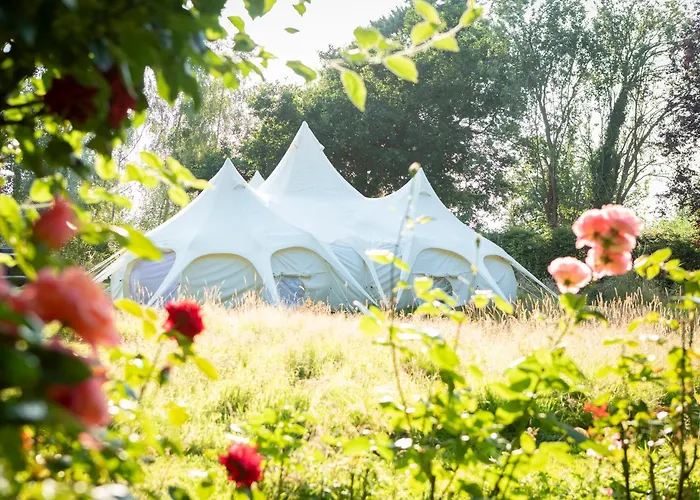 Stargazer Glamping Uk The Mahal 8 People