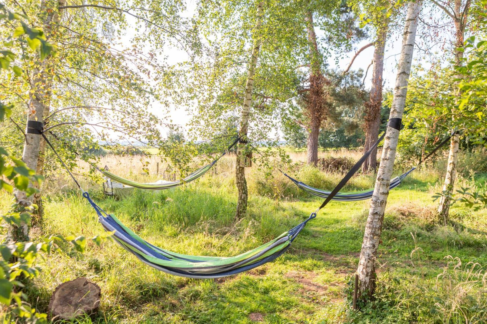 Luxury tent Stargazer Glamping Uk The Mahal 8 People *